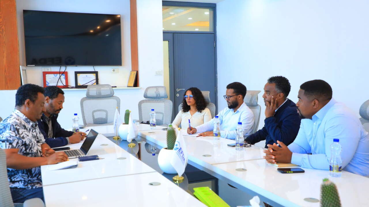 Official strategic consultation meeting between ISSUP Ethiopia and EFDA representatives.